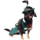 SC BORDULA EUROANIMODE SRL Shopping în Petroşani HD