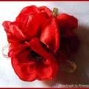 MAN SIMONA IULIA PFA Shopping în Cluj-Napoca CJ