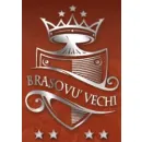 PENSIUNEA BRASOVU' VECHI Turism şi Agrement în Braşov