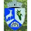 PRIMĂRIA SASCA MONTANĂ Servicii de administraţie publică în Sasca Montană CS