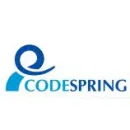 CODESPRING SRL Shopping în Cluj-Napoca CJ