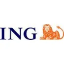 ING OFFICE ORADEA NUFARULUI Servicii legale şi financiare în Oradea BH