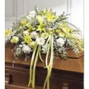 MEMORIAL SERVICII FUNERARE Transport în Craiova DJ
