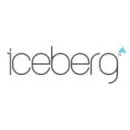 ICEBERG CONSULTING S.R.L. Servicii pentru afaceri în Braşov
