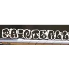 PAINTBALL BRASOV