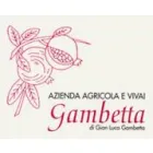 SC GRADINI GAMBETTA SRL