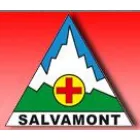 SALVAMONT BIHOR
