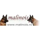 MALINOIS