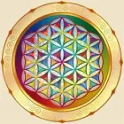 FUNDATIA FLOAREA VIETII ROMANIA