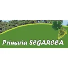 PRIMARIA ORASULUI SEGARCEA