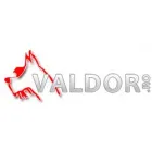 VALDOR SRL