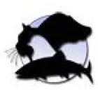 DYNAVIT IMPEX SRL