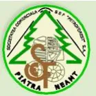 SEF-PETROFOREST SA PIATRA NEAMT