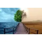 CENTRUL DE CONSILIERE SI EDUCARE PENTRU SANATATE