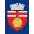 PRIMARIA MUNICIPIULUI BOTOSANI