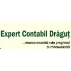EXPERT CONTABIL DRAGUT S.R.L