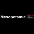 MESOPOTAMIA RĂDĂUŢI