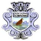 ASOCIATIA JUNIMEA BRATIENILOR