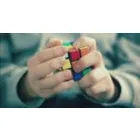 TURCA ALINA - TRADUCATOR AUTORIZAT ENGLEZA, FRANCEZA