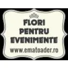 EMA | FLORI PENTRU EVENIMENTE