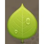 SC ANGELIDA SERV SRL