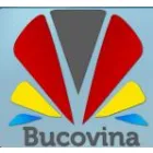 PATRONATUL JUDETEŢEAN AL FEMEILOR DE AFACERI DIN IMM SUCEAVA