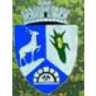 PRIMĂRIA SASCA MONTANĂ