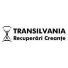 TRANSILVANIA RECUPERARI CREANTE SRL