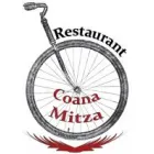 RESTAURANT BUREBISTA VANETORESC