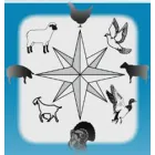 SC PRODVEST 2004 SRL DEVA