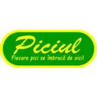 MAGAZINUL PICIUL
