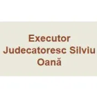 BIROU EXECUTOR JUDECATORESC SILVIU OANA