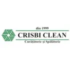 CRISBI CLEAN 4