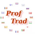 PROF TRAD CONSULTING COMPANY SRL