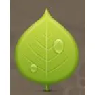 NATURAL COLLECTION S.R.L