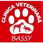 CABINET VETERINAR BASSY