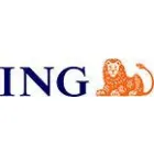 ING OFFICE TG. MURES TUDOR