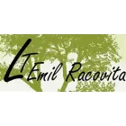 LICEUL TEORETIC EMIL RACOVITA, BAIA MARE