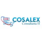 S.C COSALEX PROFESSIONAL GRUP S.R.L