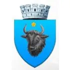 PRIMĂRIA SIGHETU MARMAŢIEI