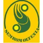 SC SEMROM OLTENIA SA