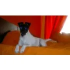 SANIVET CARE S.R.L