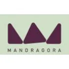 MANDRAGORA