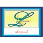 LUJERUL S.A