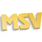 MULTISERV SRL